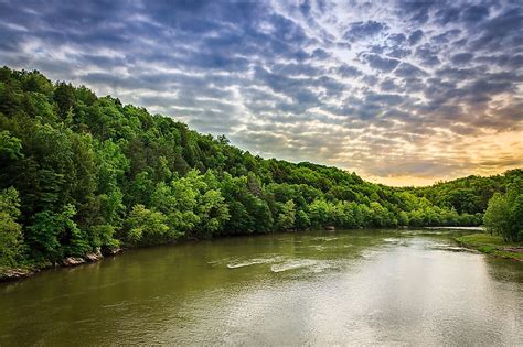 River lexus kentucky - Kentucky River WoodCraft Secure checkout by Square